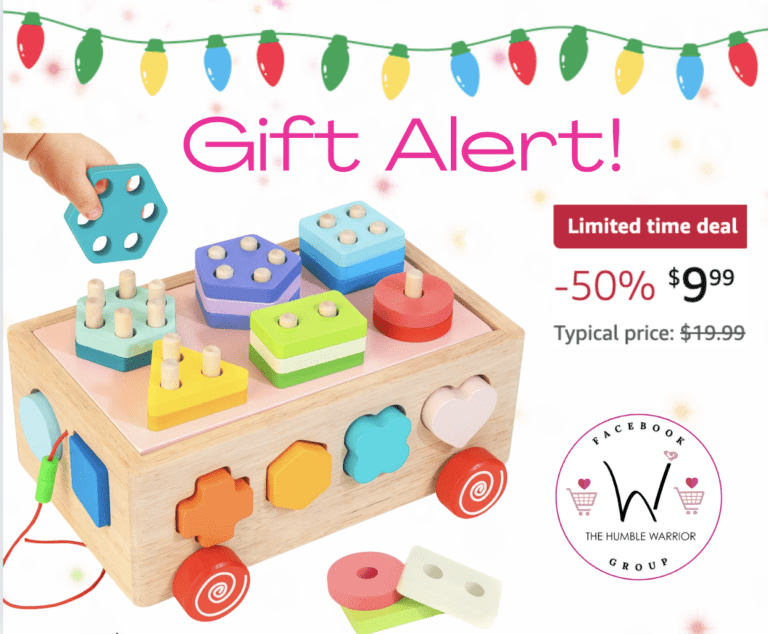 Bravmate Shape Sorter Learning Toy!